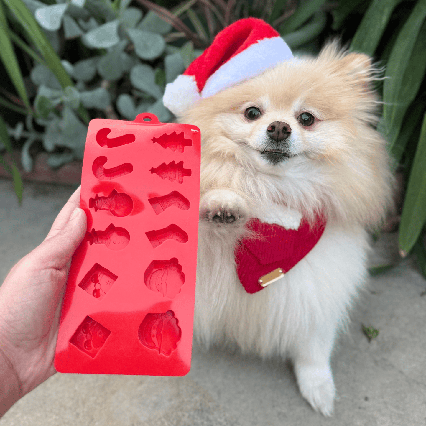 SodaPup Silicone Dog Treat Molds – DIY Jelly, Frozen & Lickable Treats | 4 Styles