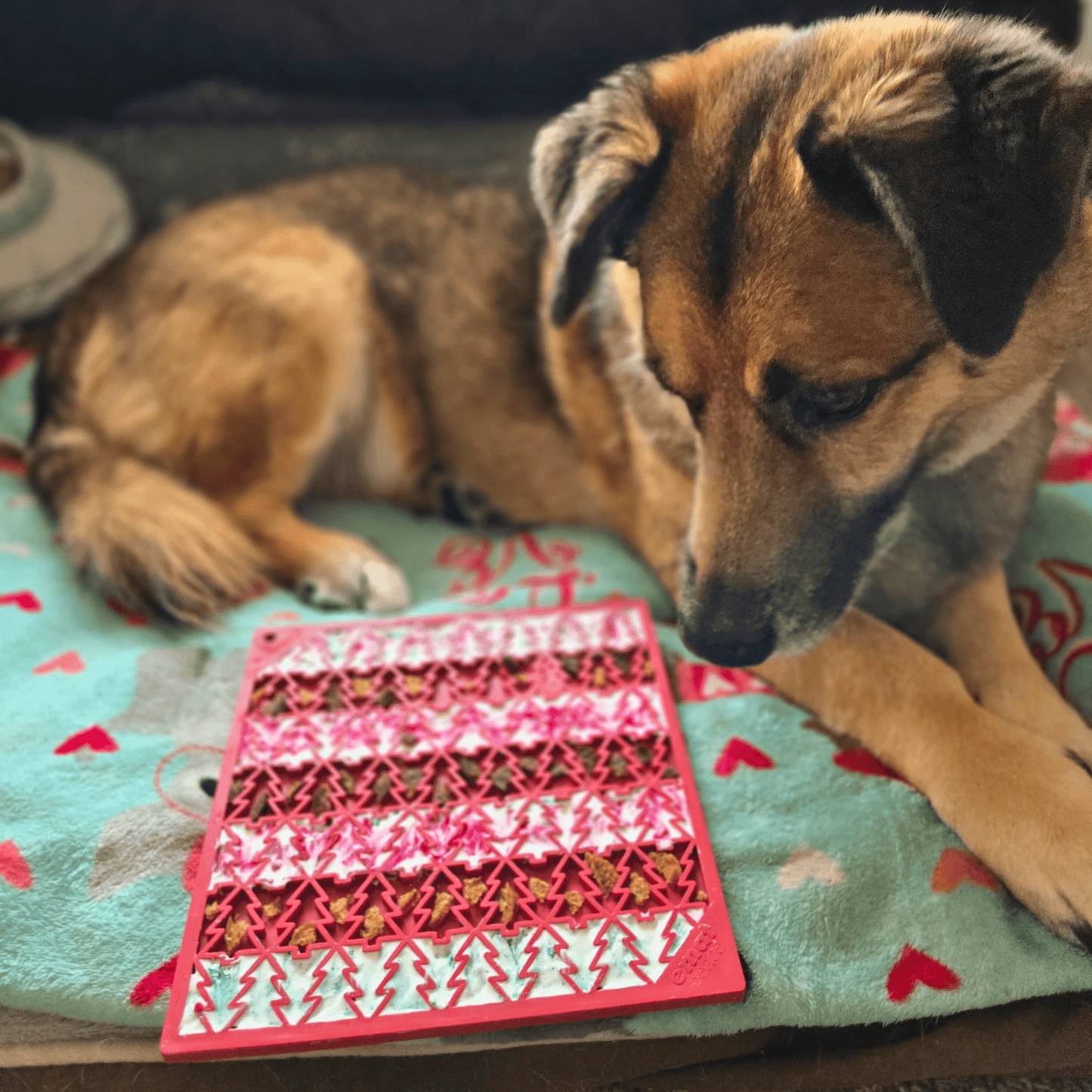 SodaPup Dog Lick Mats – Calming Enrichment Feeder | BPA-Free | Made in USA | 4 Styles