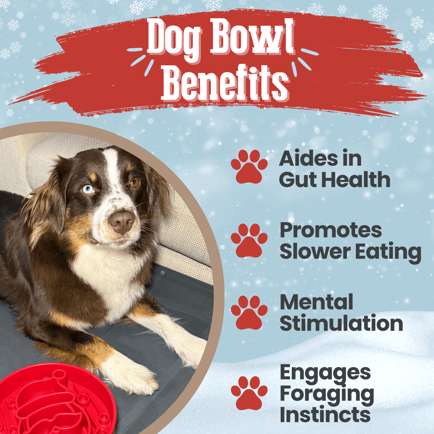 SodaPup Slow Feeder Dog Bowls – Reduces Bloat & Choking | Dishwasher Safe | Made in USA | 4 Styles