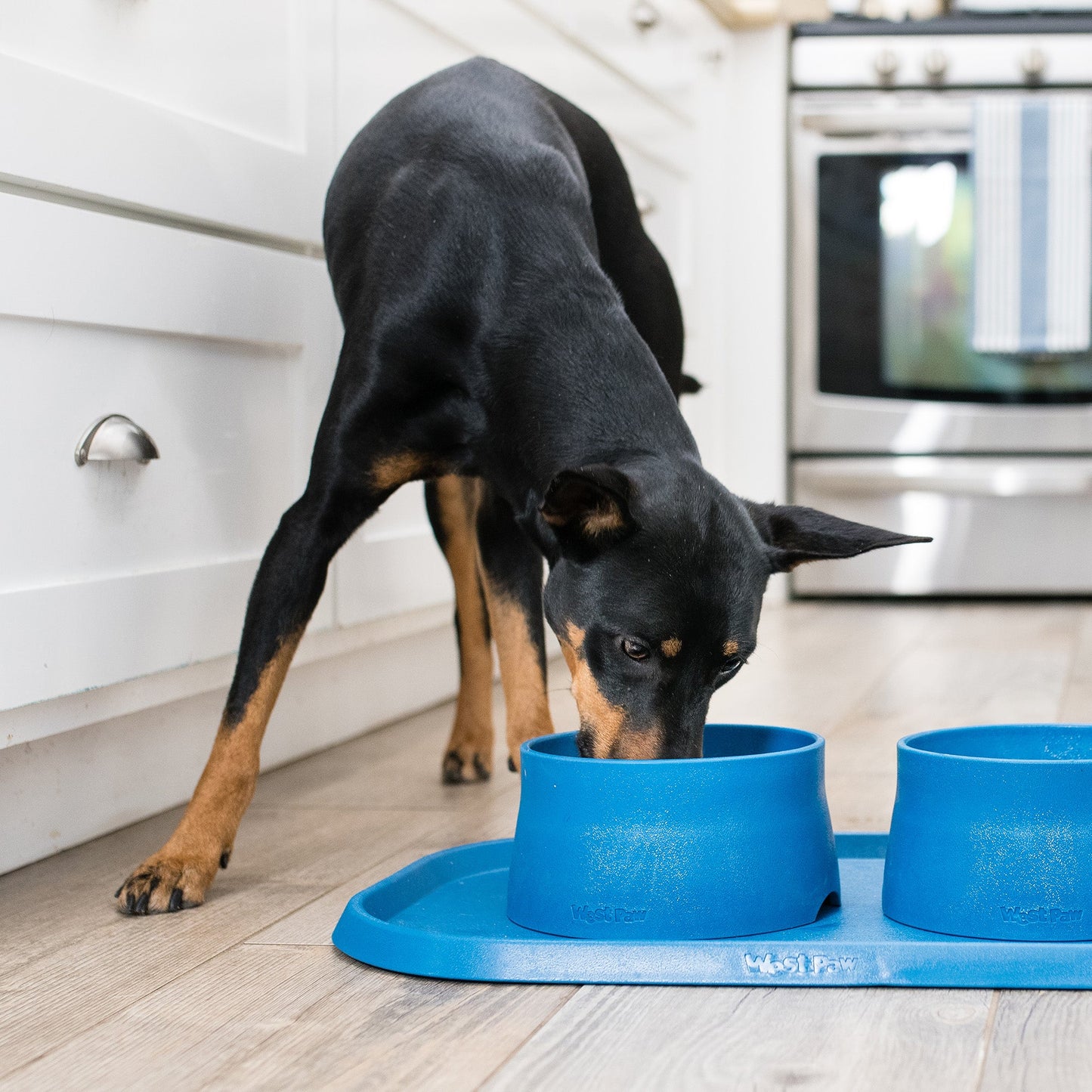 West Paw Non-Slip Dog Feeding Mat – Dishwasher Safe, Eco-Friendly | Raised Edges | 4 Colors