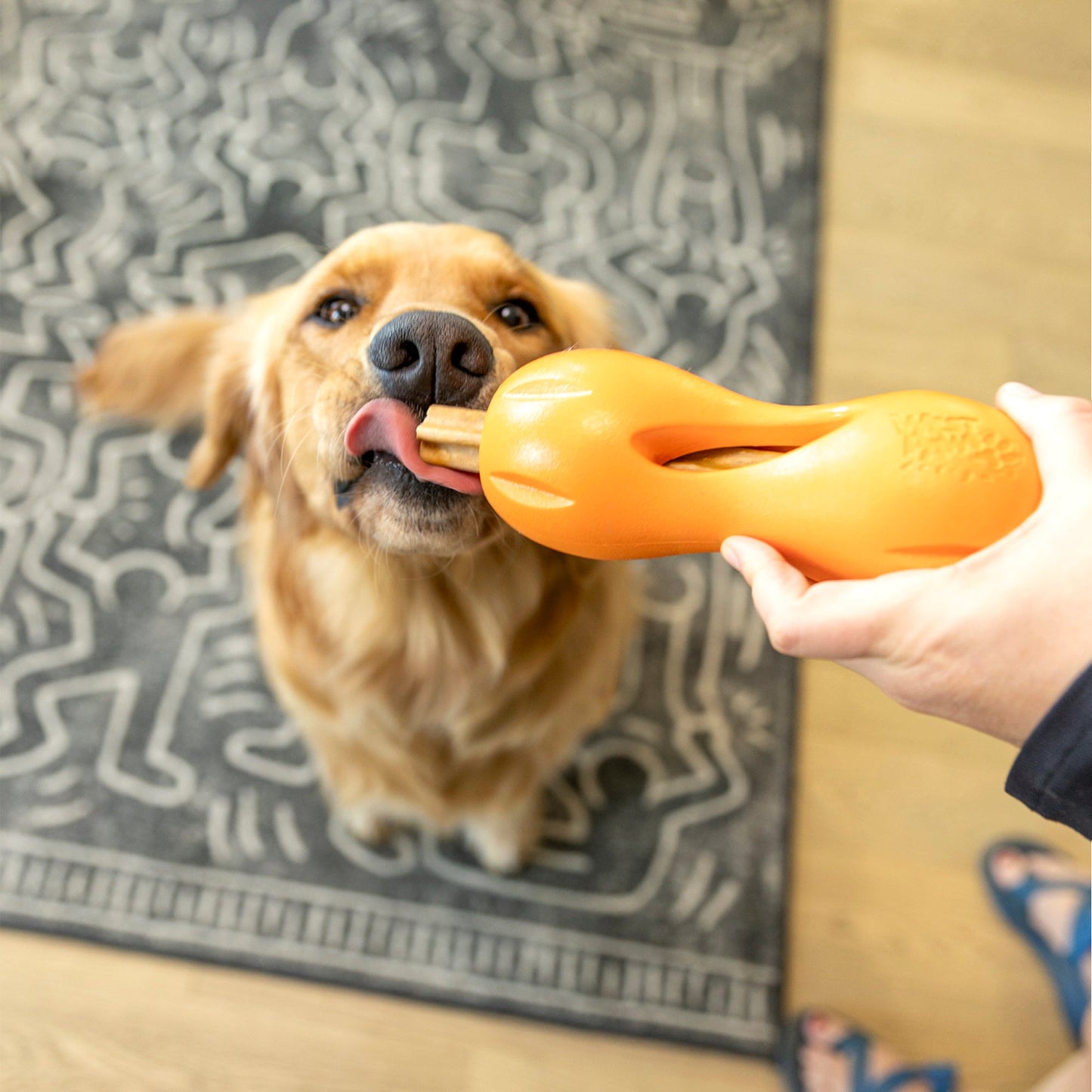 West Paw Natural Dental Sticks – Large | Freshens Breath, Reduces Plaque | Fits Qwizl Treat Toy