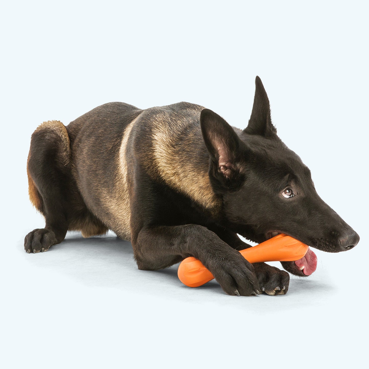 West Paw Hurley Dog Bone – Nearly Indestructible, Floatable, Non-Toxic | 3 Sizes & Colors