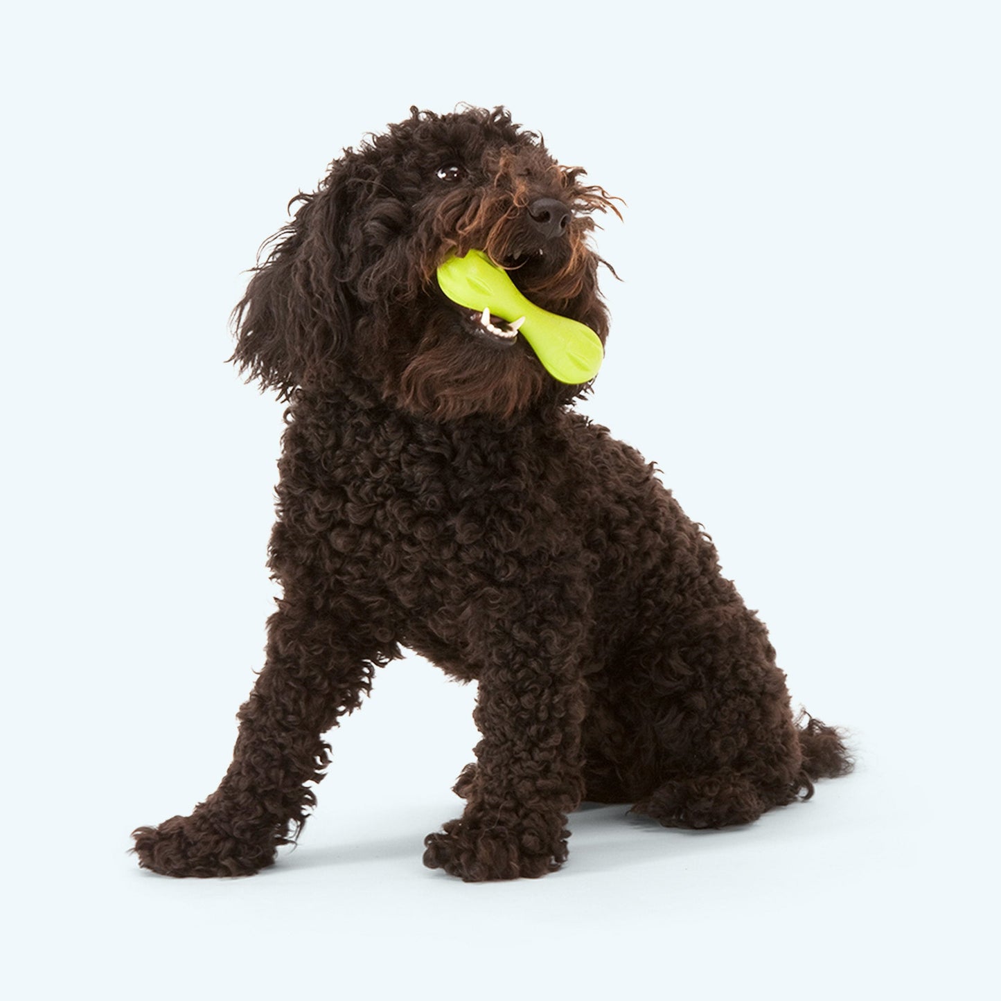 West Paw Hurley Dog Bone – Nearly Indestructible, Floatable, Non-Toxic | 3 Sizes & Colors
