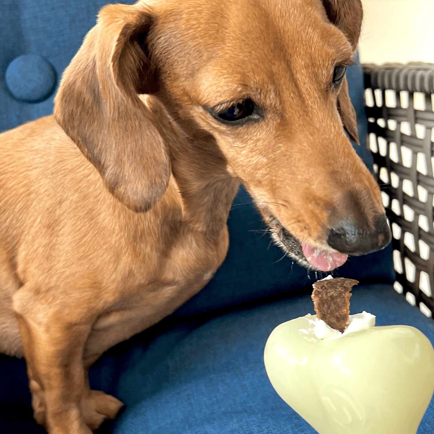 SodaPup Dog Treat Dispensers – Enrichment Feeder | Dishwasher Safe | Made in USA | 6 Styles