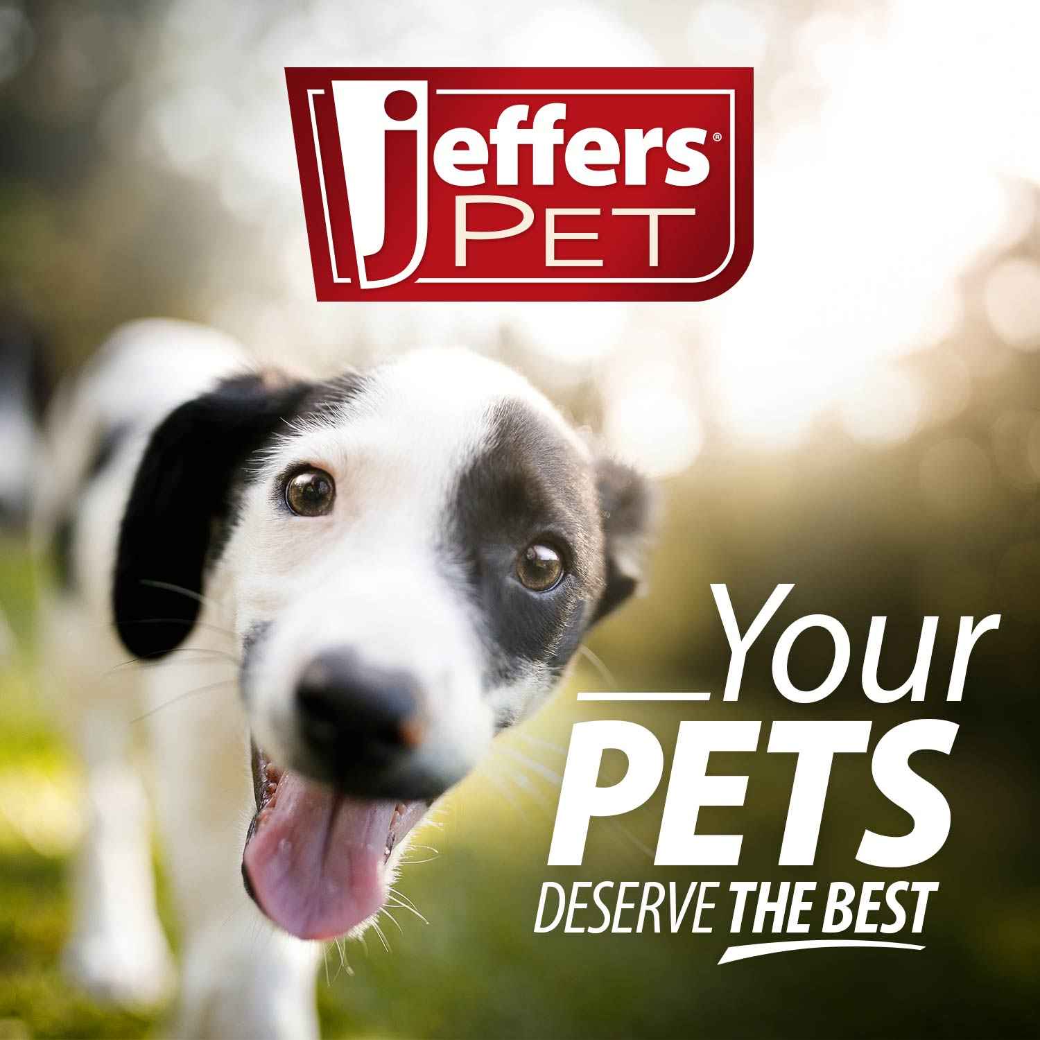 Jeffers Pet Nature's Best Cedar All-Natural Flea Bite Relief Shampoo for Dogs and Cats