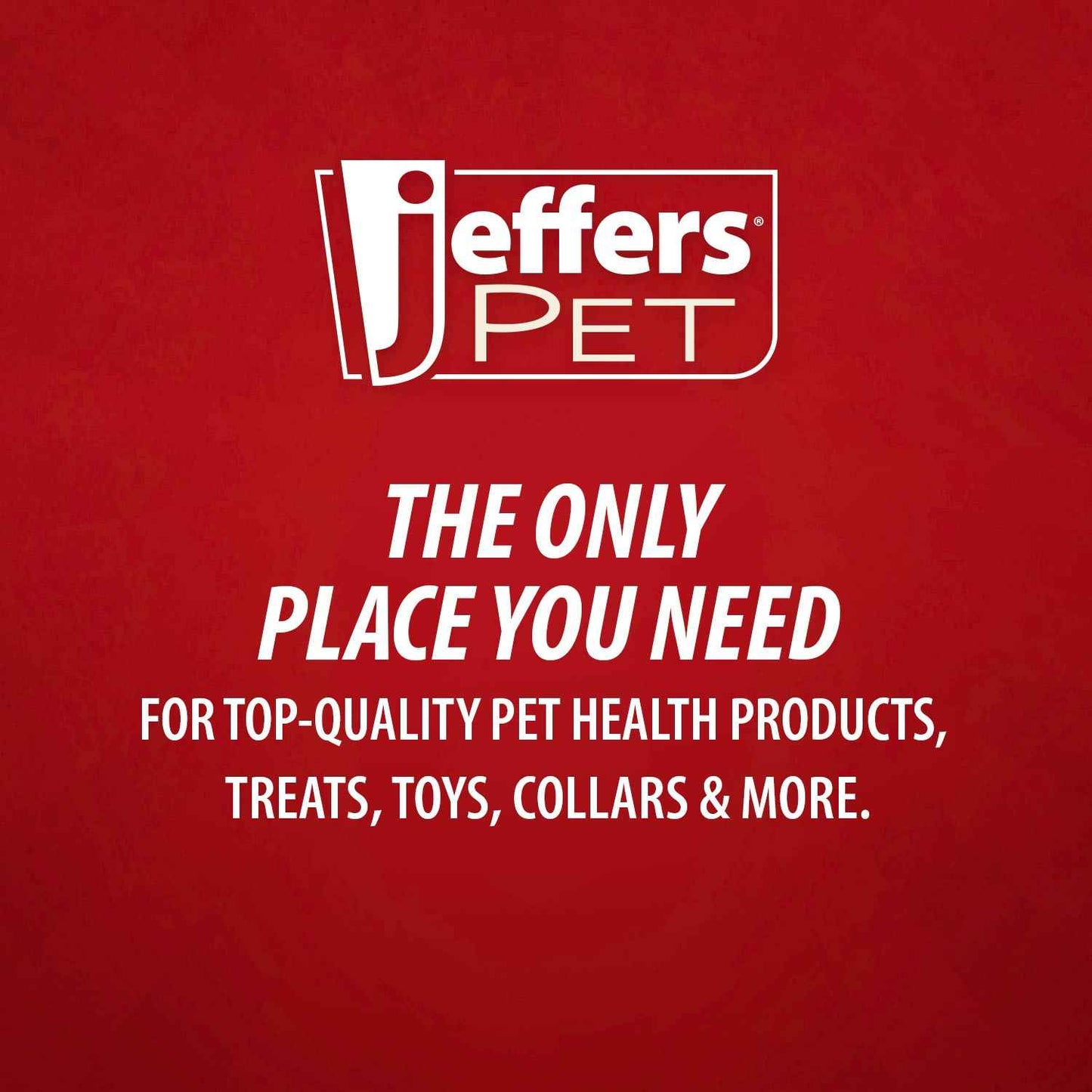 Jeffers Pet Nature's Best Cedar All-Natural Flea Bite Relief Shampoo for Dogs and Cats