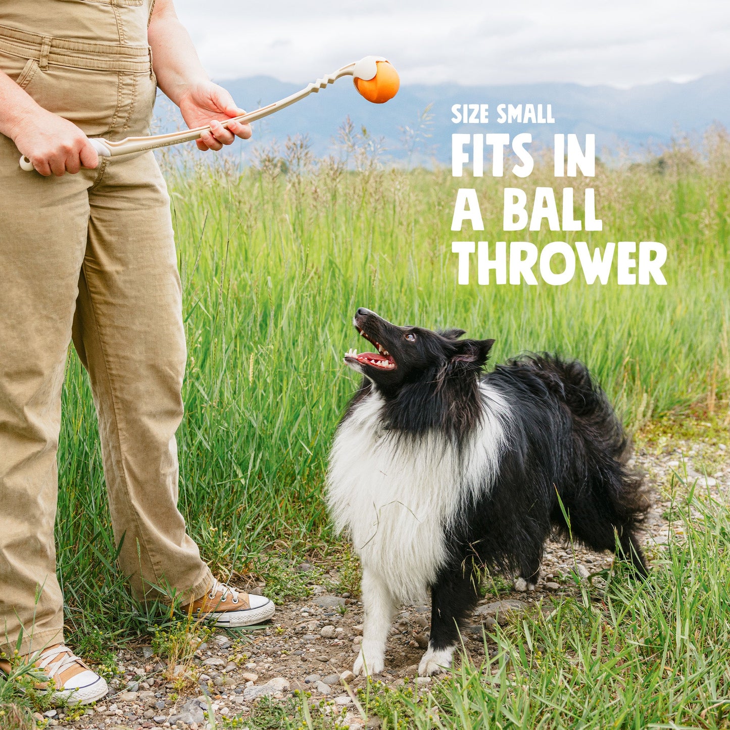 West Paw Jive Dog Ball – Erratic Bounce, Tougher Than Tennis | Fetch & Chew | XS, S & L