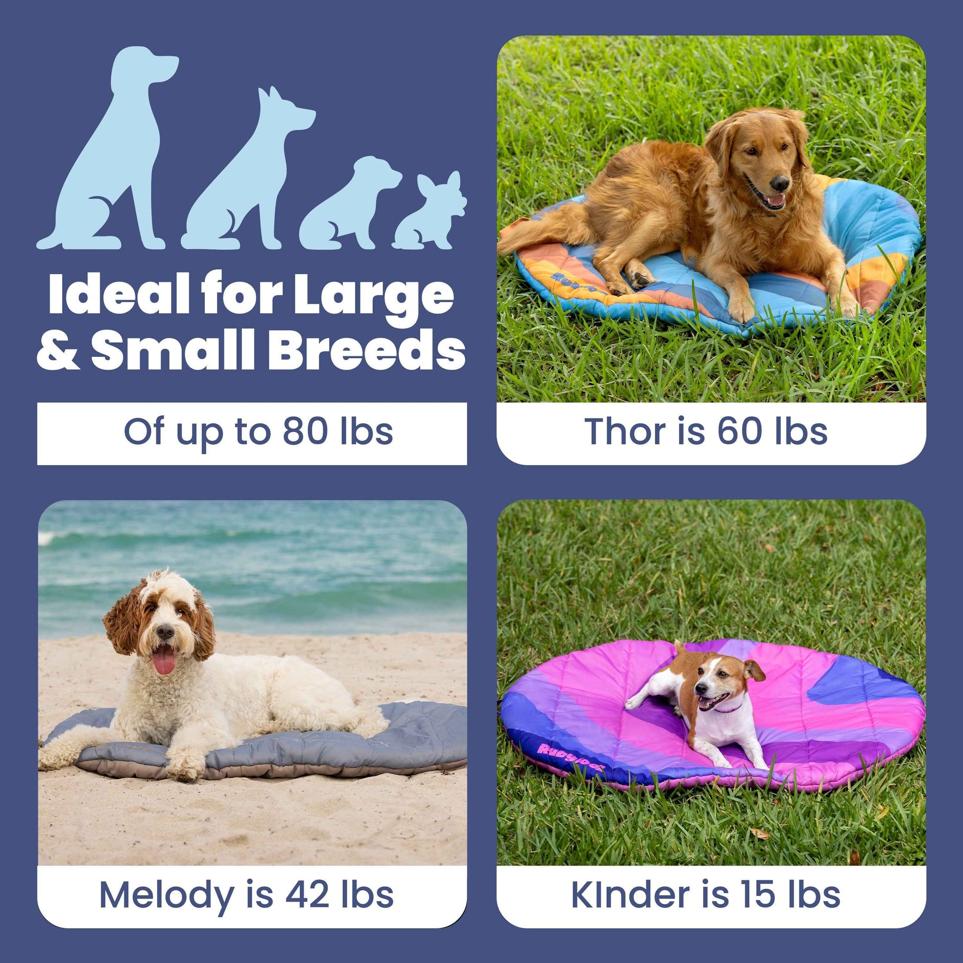 Travel Dog Bed - Foldable & Packable for Travel, Road Trip, Camping