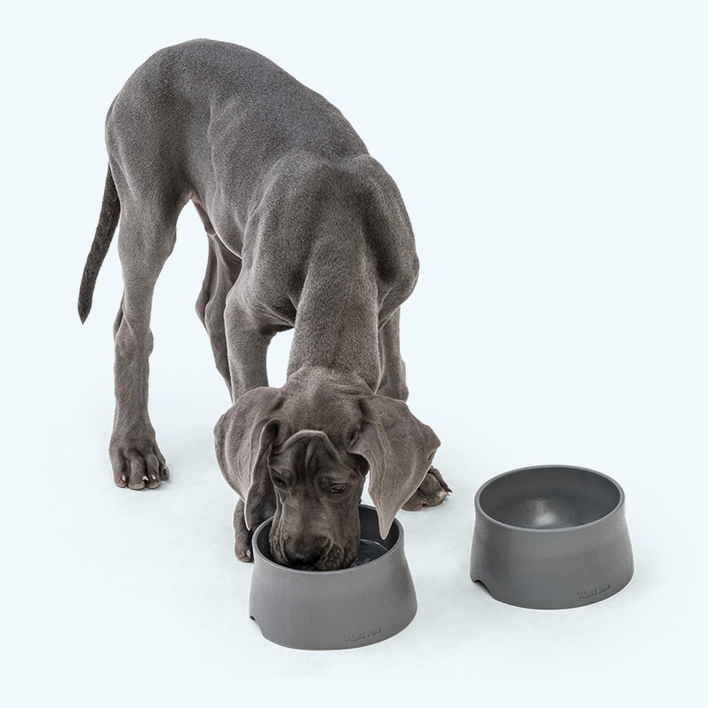 West Paw Non-Slip Dog Bowl – Quiet, Less-Mess Feeding | Seaflex® Recycled Ocean Plastic | 4 Colors
