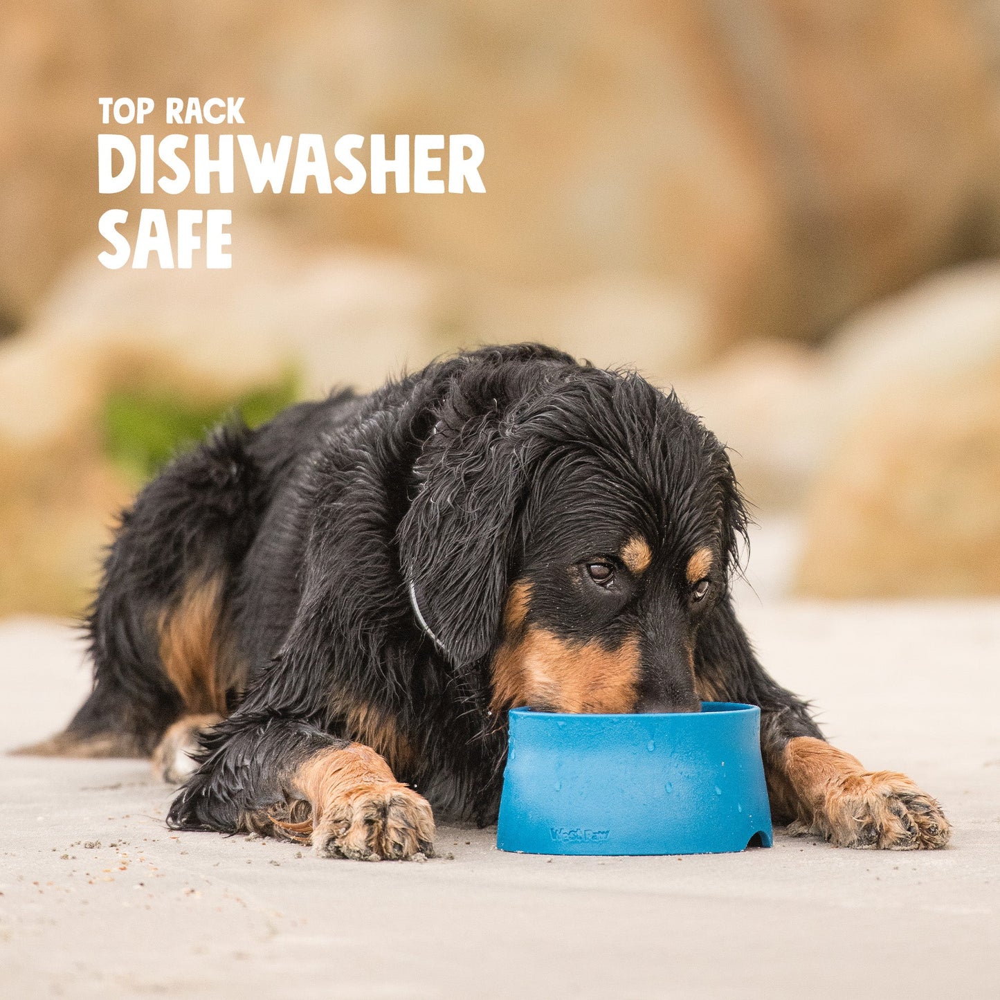 West Paw Non-Slip Dog Bowl – Quiet, Less-Mess Feeding | Seaflex® Recycled Ocean Plastic | 4 Colors