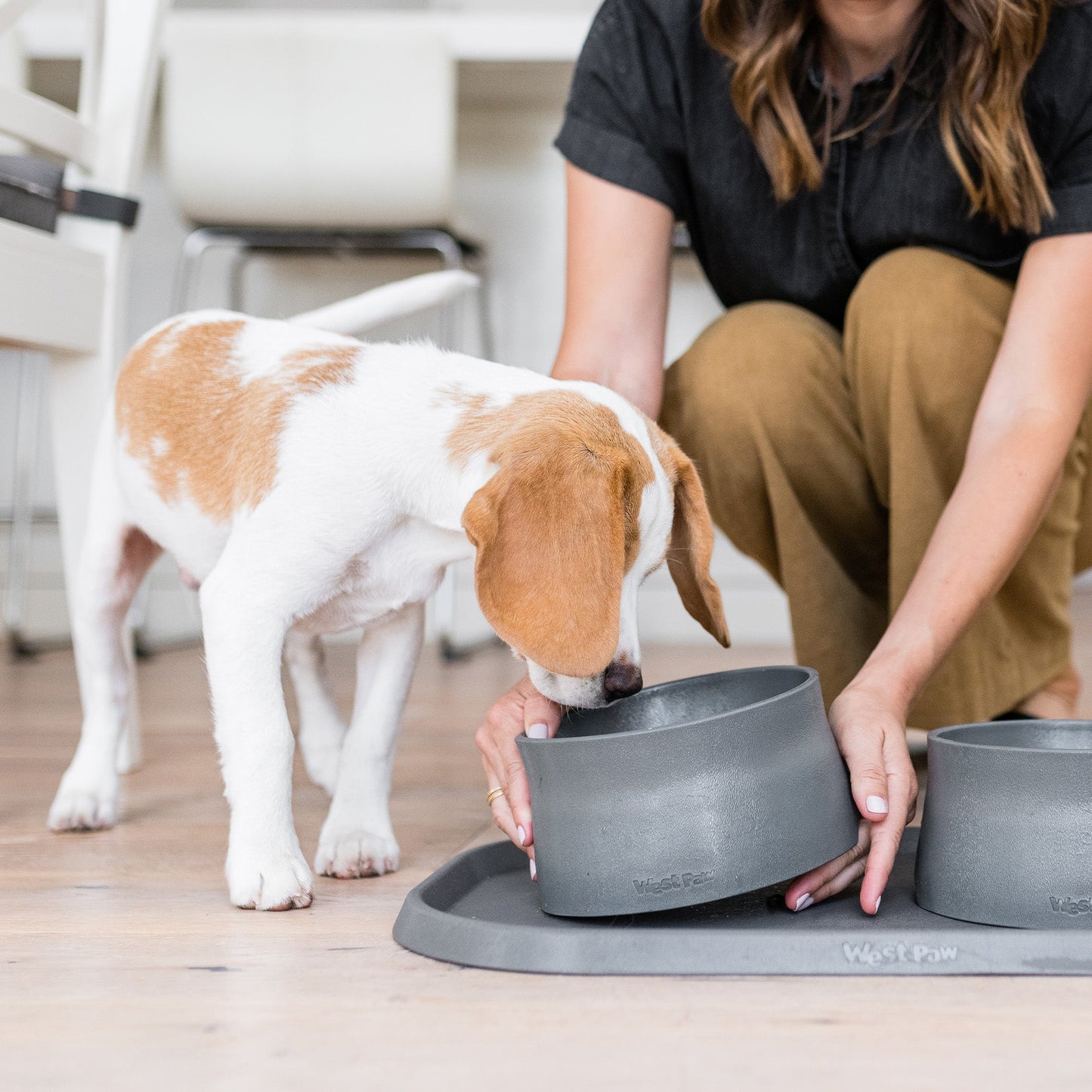 West Paw Non-Slip Dog Bowl – Quiet, Less-Mess Feeding | Seaflex® Recycled Ocean Plastic | 4 Colors