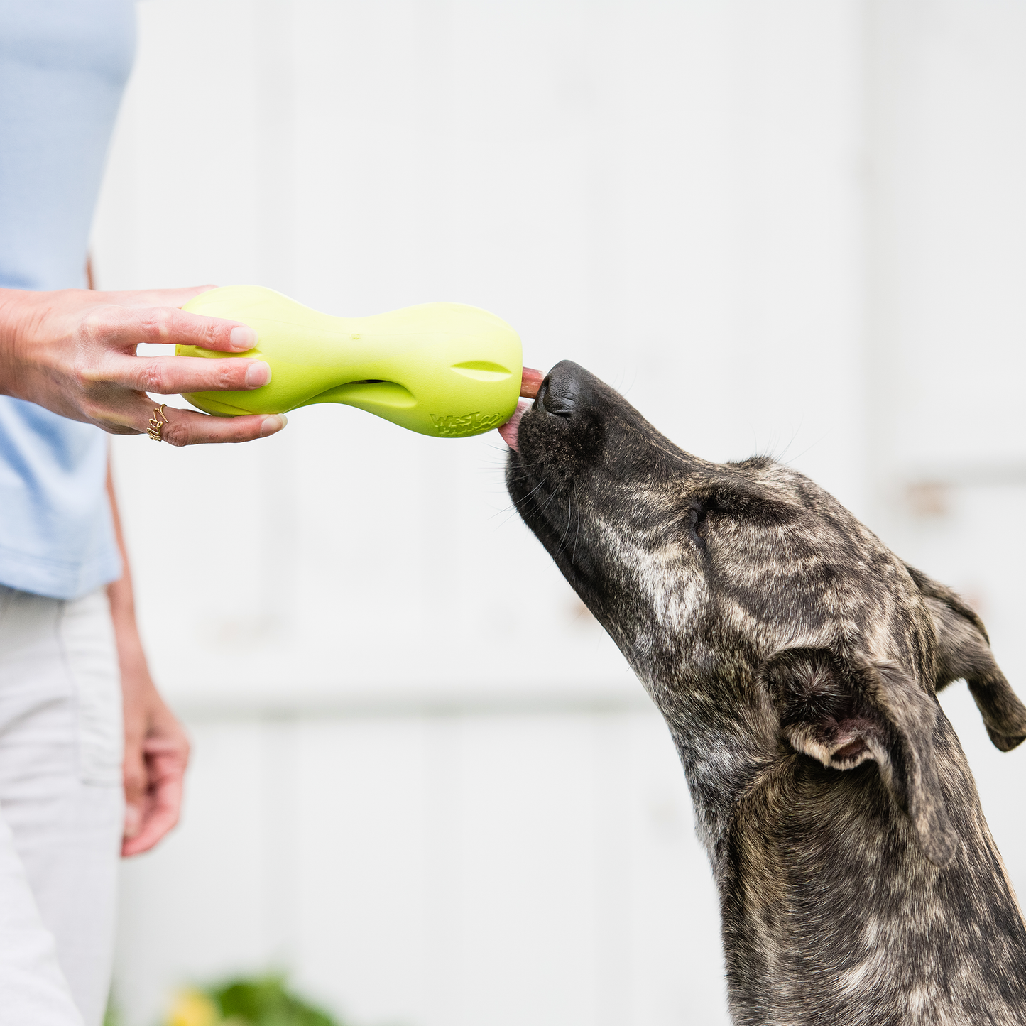 West Paw Qwizl Treat Toy – Makes Bully Sticks Last Longer | Tough Chewer | S & L