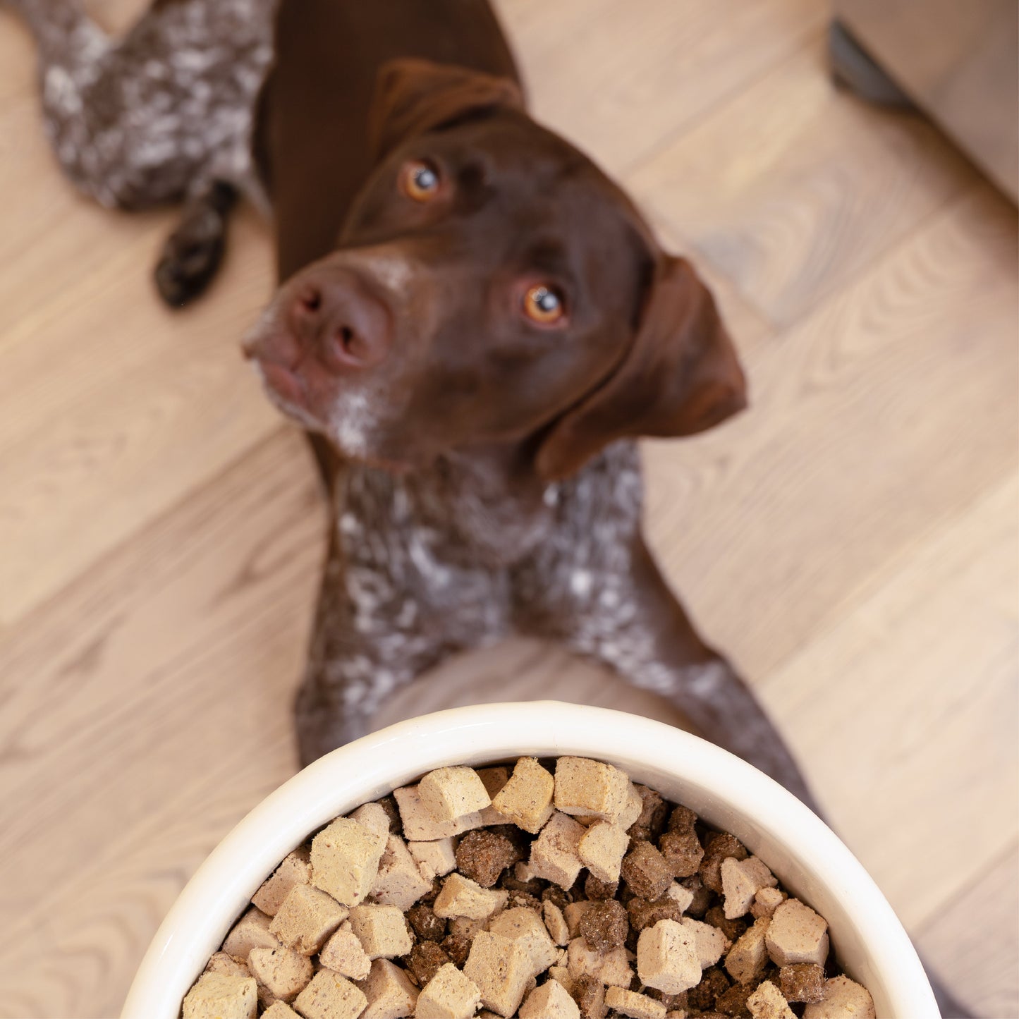 West Paw Rawbiotic Bites Beef Dog Food Topper – Raw Protein, Probiotics & Real Veggies