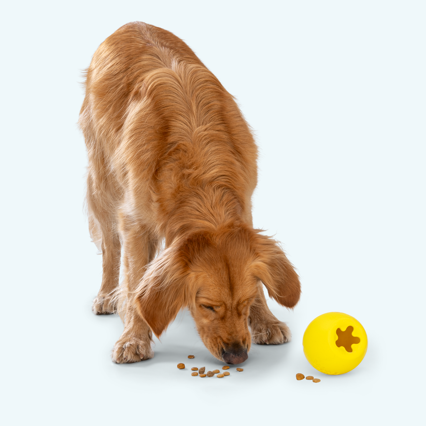 West Paw Rumbl Dog Puzzle Toy – Treat-Dispensing Wobble Toy | Zogoflex Echo® | S & L