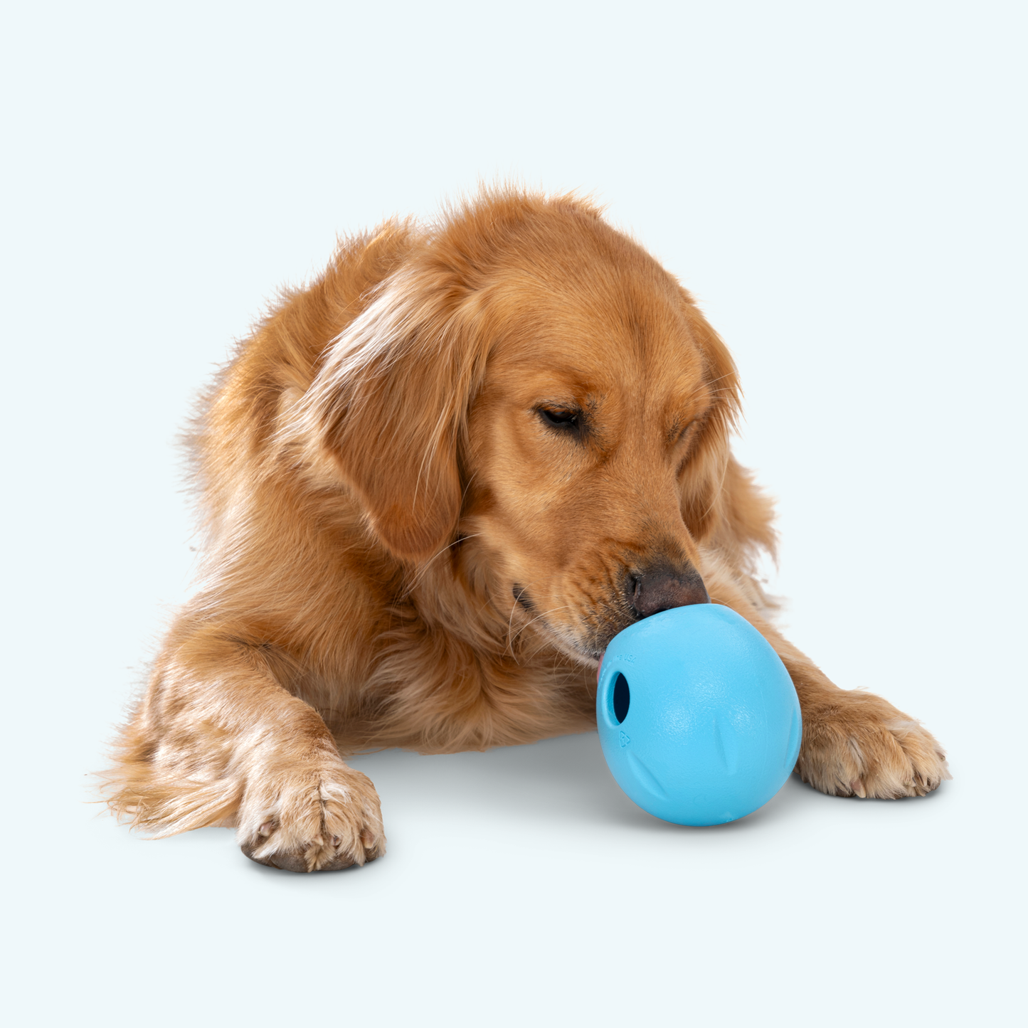 West Paw Rumbl Dog Puzzle Toy – Treat-Dispensing Wobble Toy | Zogoflex Echo® | S & L
