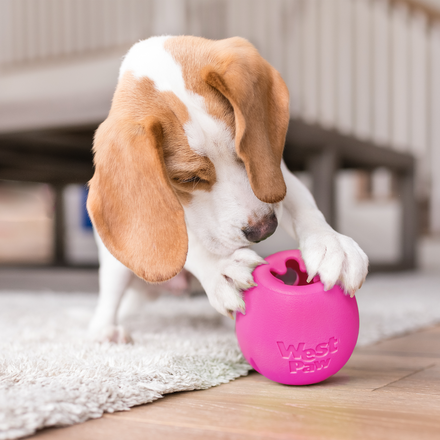 West Paw Rumbl Dog Puzzle Toy – Treat-Dispensing Wobble Toy | Zogoflex Echo® | S & L