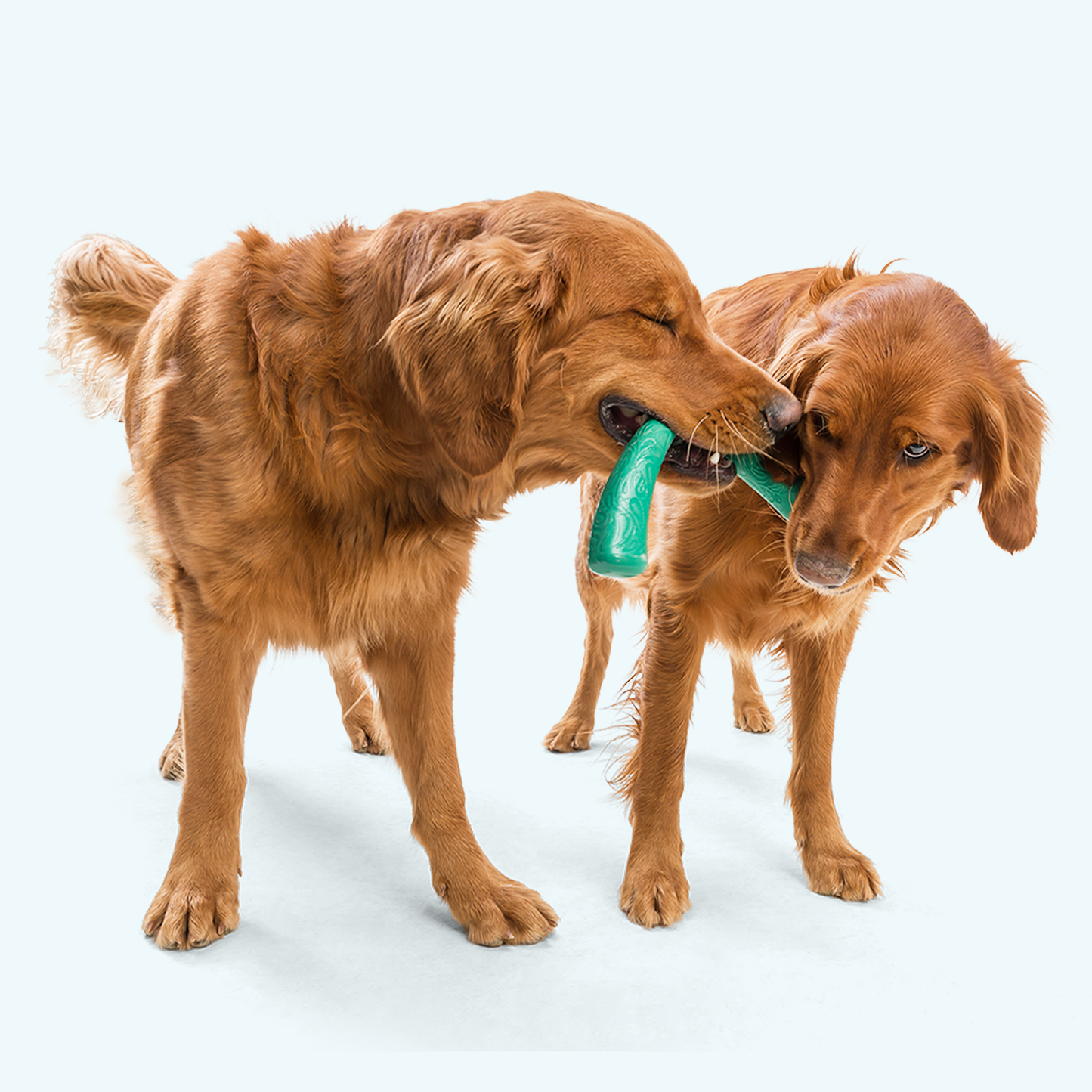 West Paw Snorkl Dog Tug Toy – Bone & Boomerang Shape | Fetch, Tug & Chew | 3 Colors