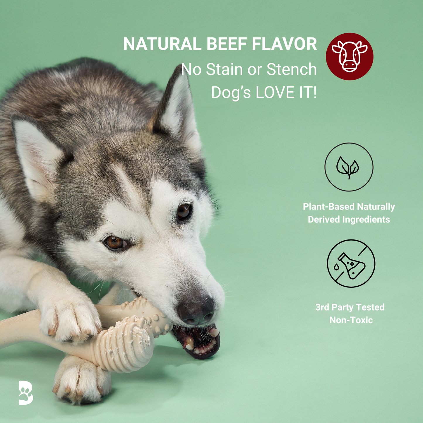 BetterBone Moderate Durability Dog Chew Toy – Plant-Based, Non-Toxic, Eco-Friendly