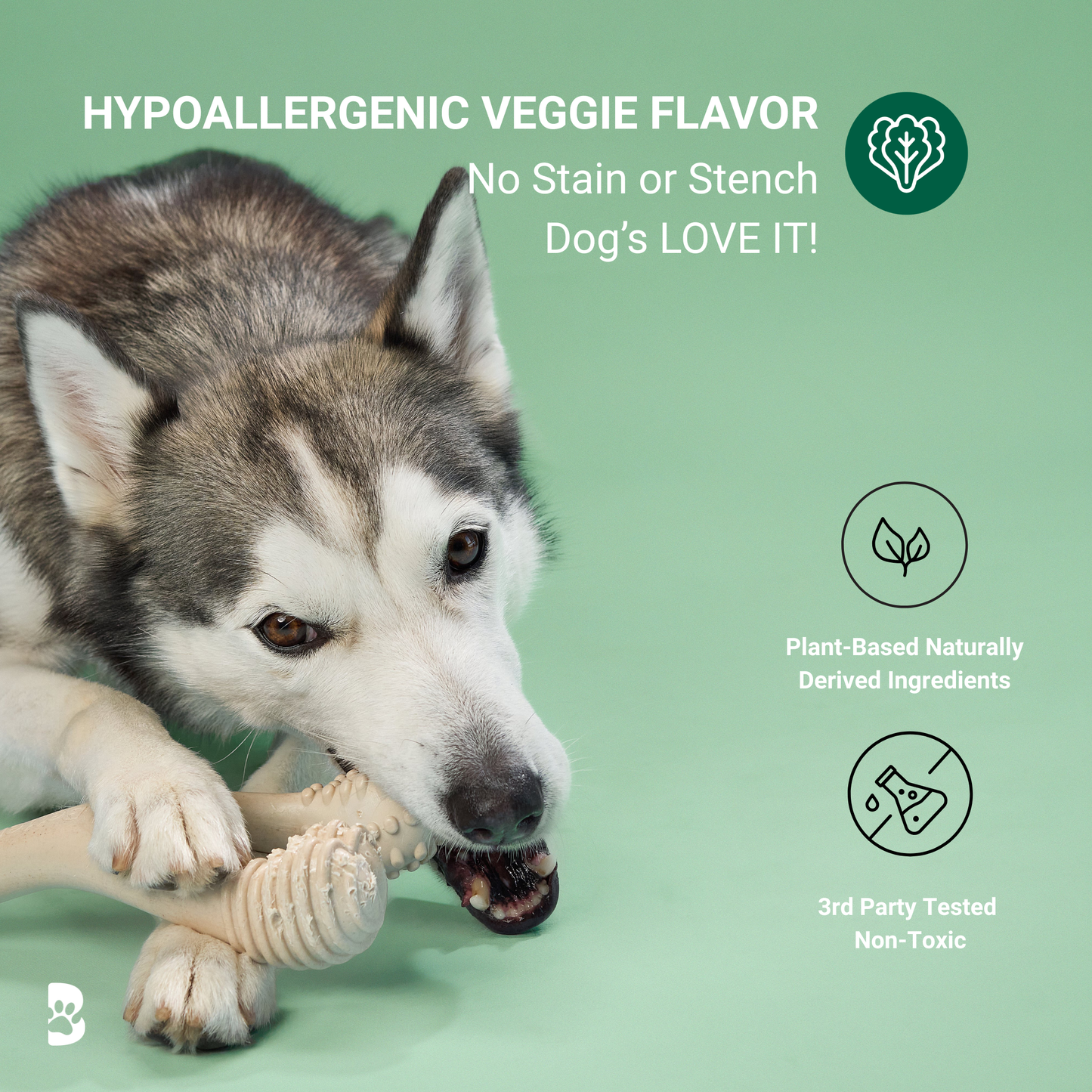 BetterBone Moderate Durability Dog Chew Toy – Plant-Based, Non-Toxic, Eco-Friendly