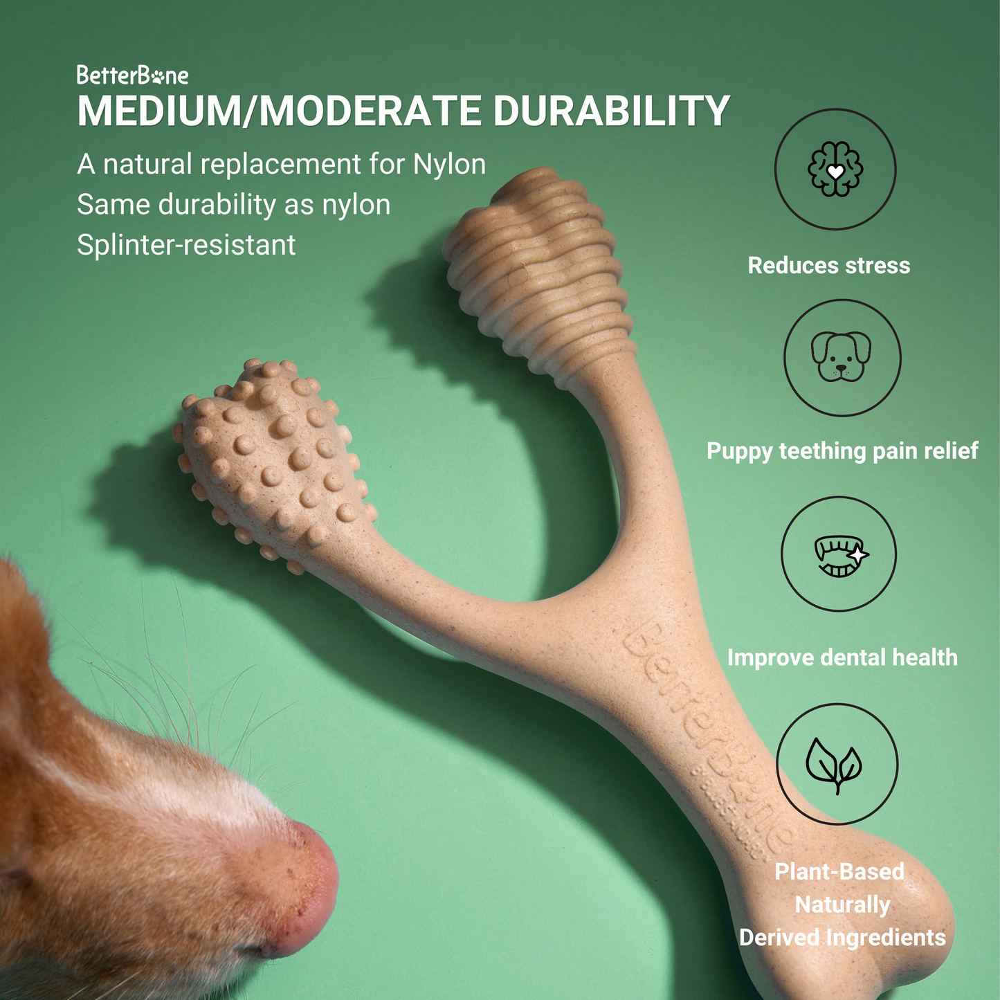 BetterBone Moderate Durability Dog Chew Toy – Plant-Based, Non-Toxic, Eco-Friendly