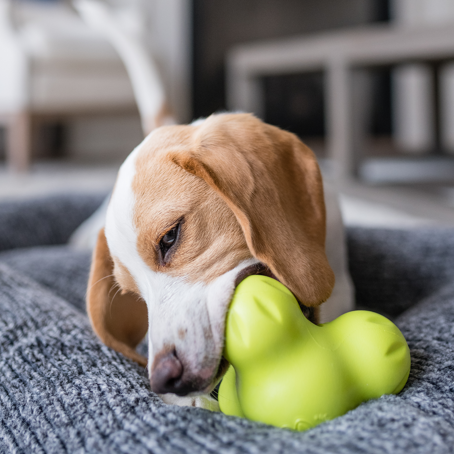 West Paw Tux Treat Toy – Toughest Treat Toy | Ideal for Short-Snouted Breeds | S & L