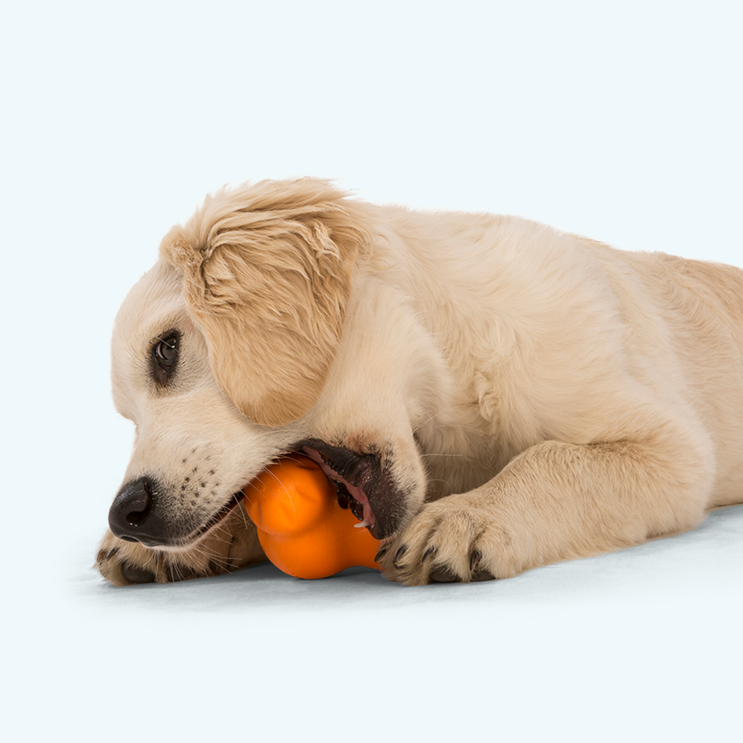 West Paw Tux Treat Toy – Toughest Treat Toy | Ideal for Short-Snouted Breeds | S & L