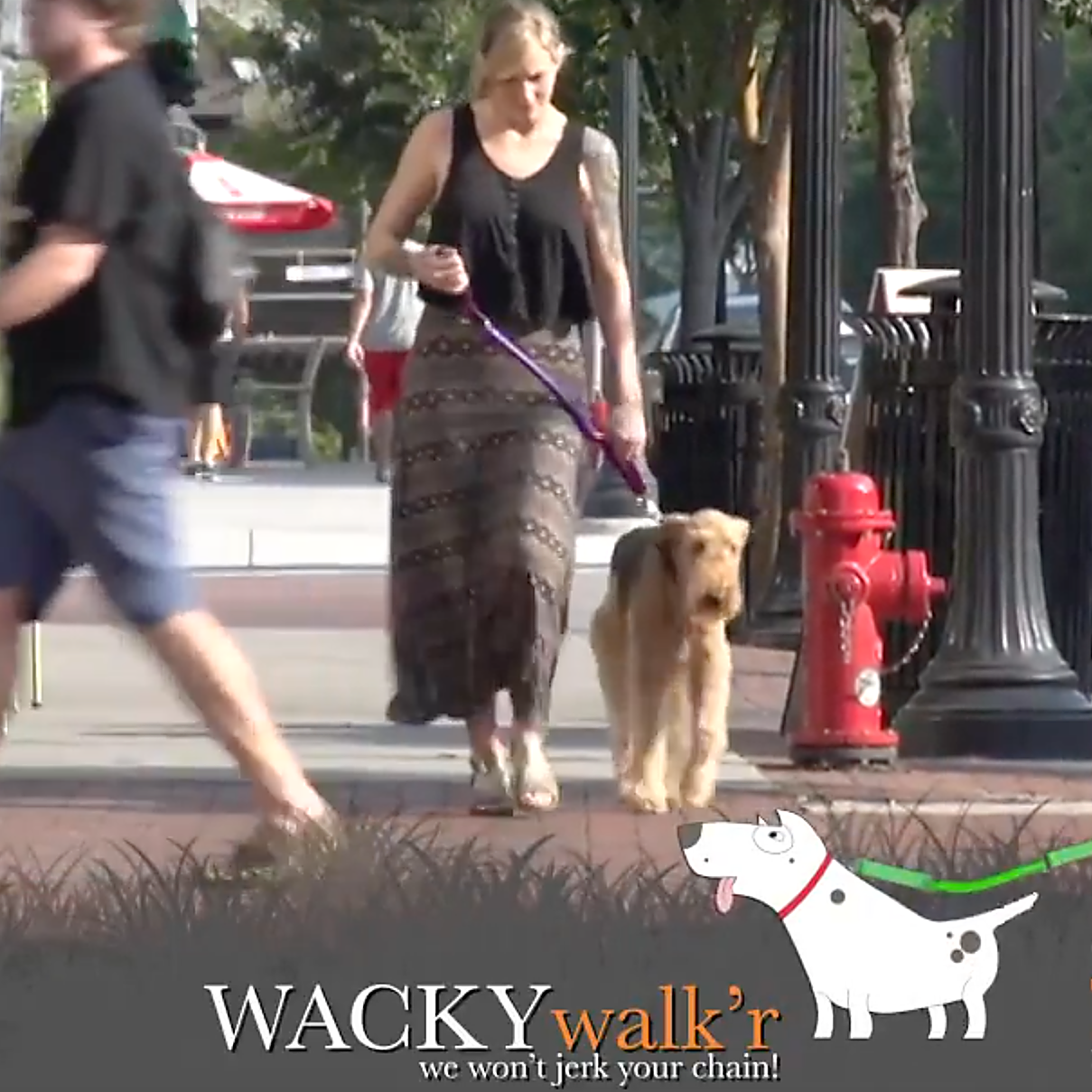 Urban Walk'r – Short No-Pull Dog Leash | 3 ft Stretches to 4.5 ft