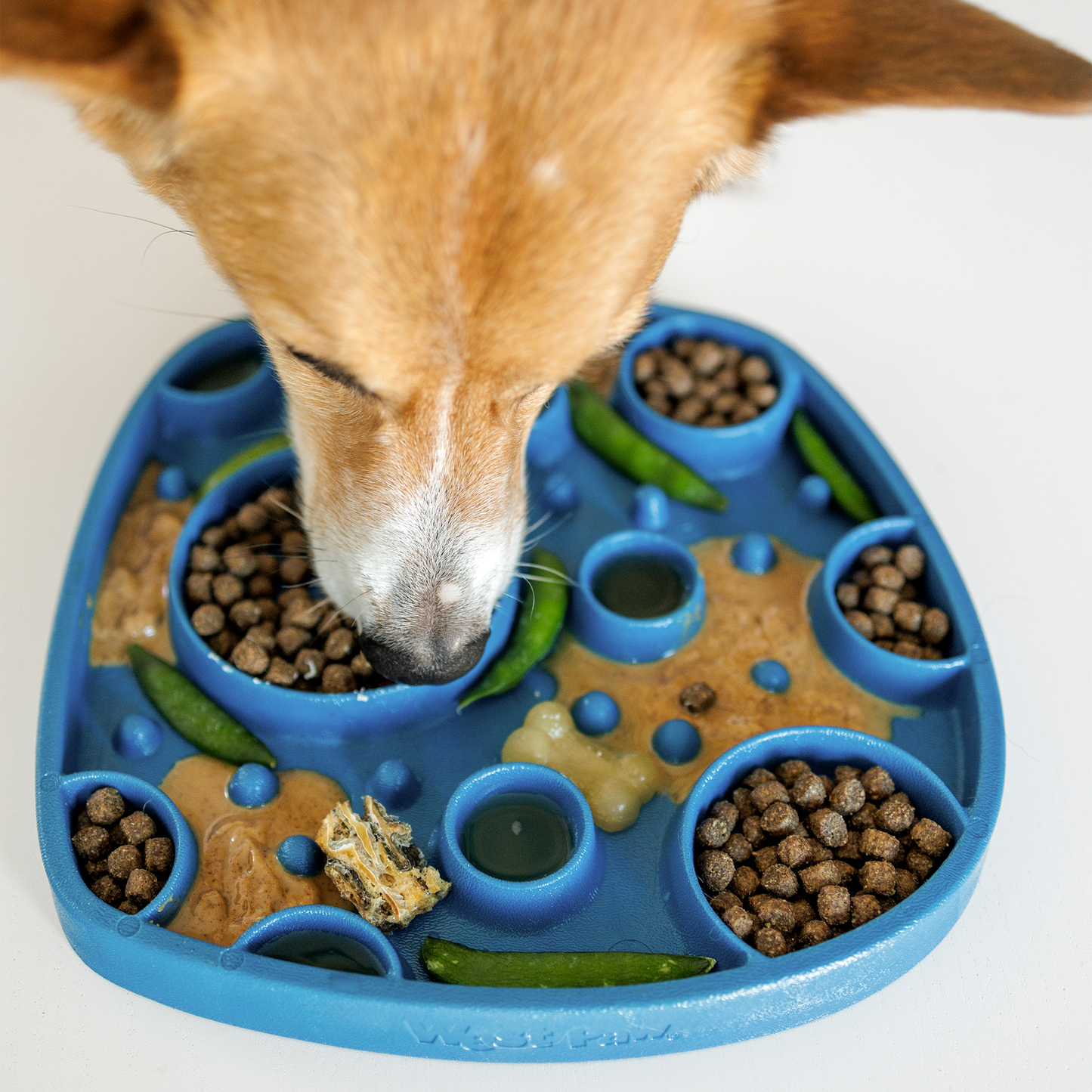 West Paw Bubbles Feast Mat – 2-in-1 Slow Feeder & Lick Mat | Made from Recycled Ocean Plastic