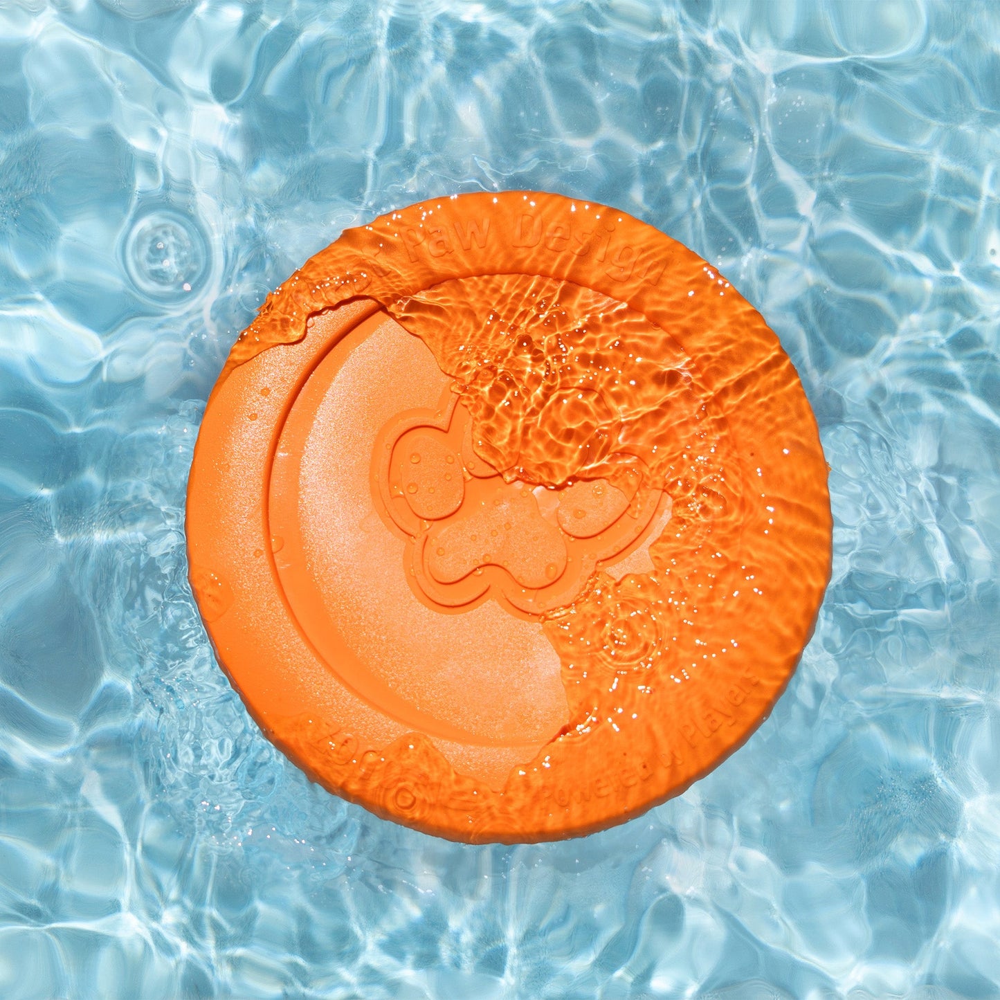 West Paw Zisc Dog Flying Disc – Soft & Floatable Frisbee for Gentle Chewers