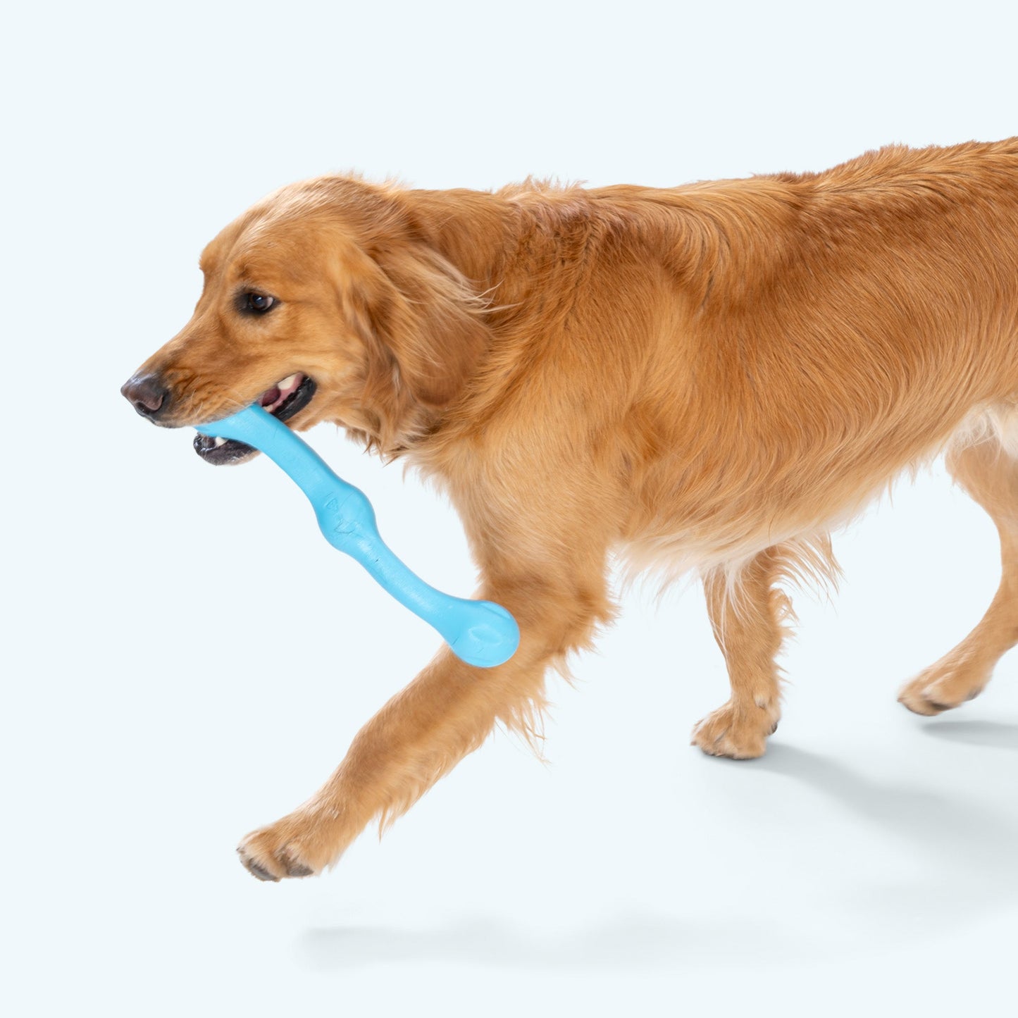West Paw Zwig Dog Toy – Zogoflex Echo® | Fetch, Tug & Chew | 3 Colors