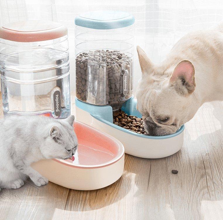 Automatic Pet Feeder And Drinking Fountain Combo - Parker & Pets