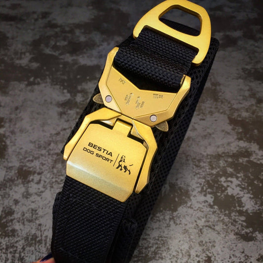 BESTIA Dog Sport Fast Release Collar – Black & Gold Heavy-Duty Training Collar