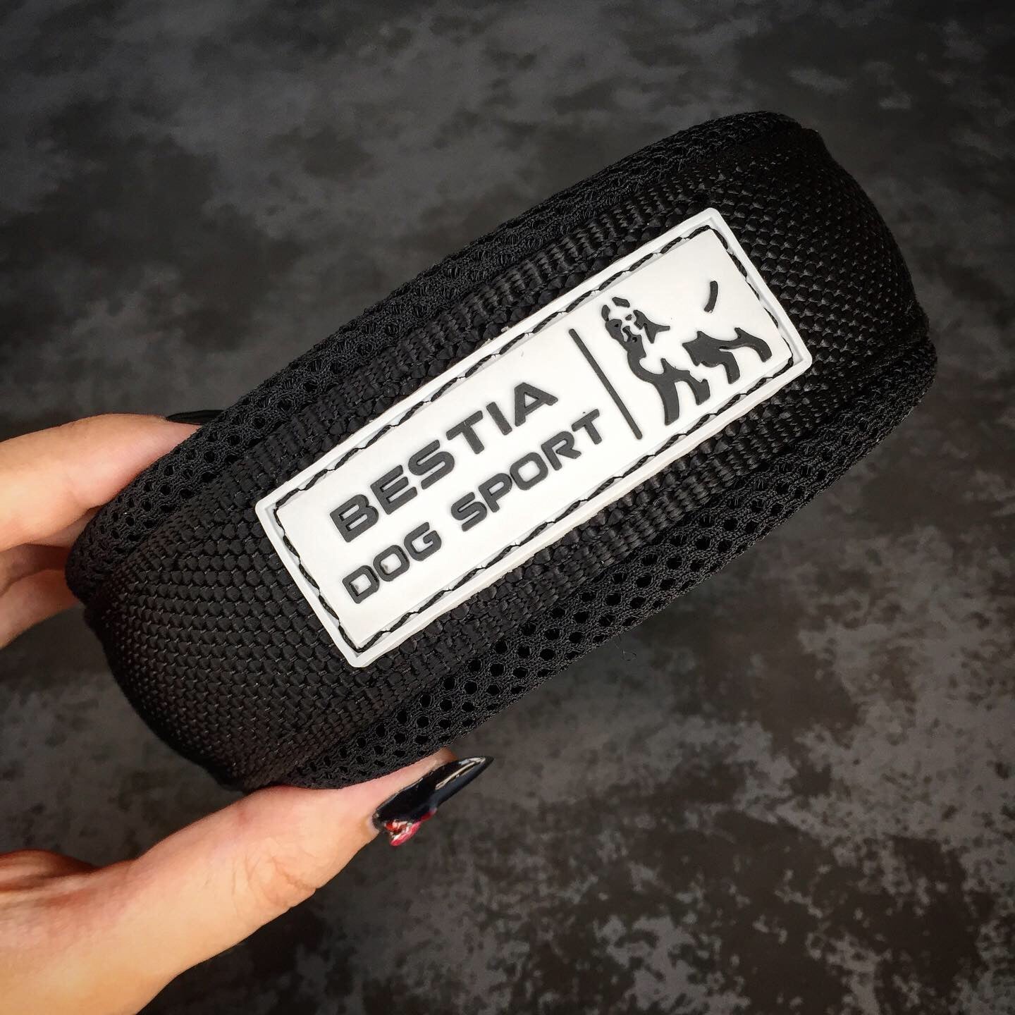 BESTIA Dog Sport Fast Release Collar – Black & Gold Heavy-Duty Training Collar