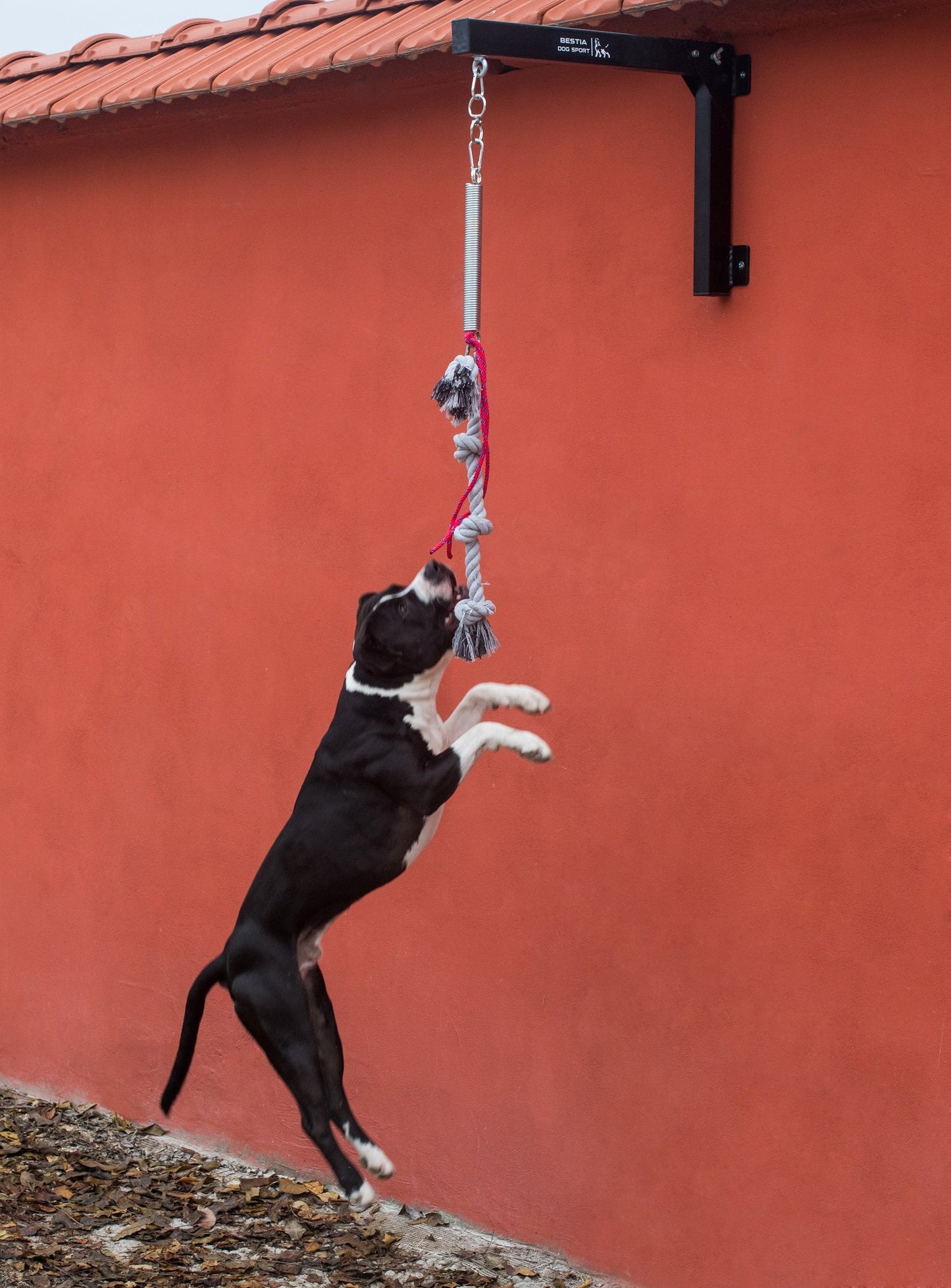BESTIA Dog Sport Spring Pole Set – Muscle-Building Dog Training Equipment