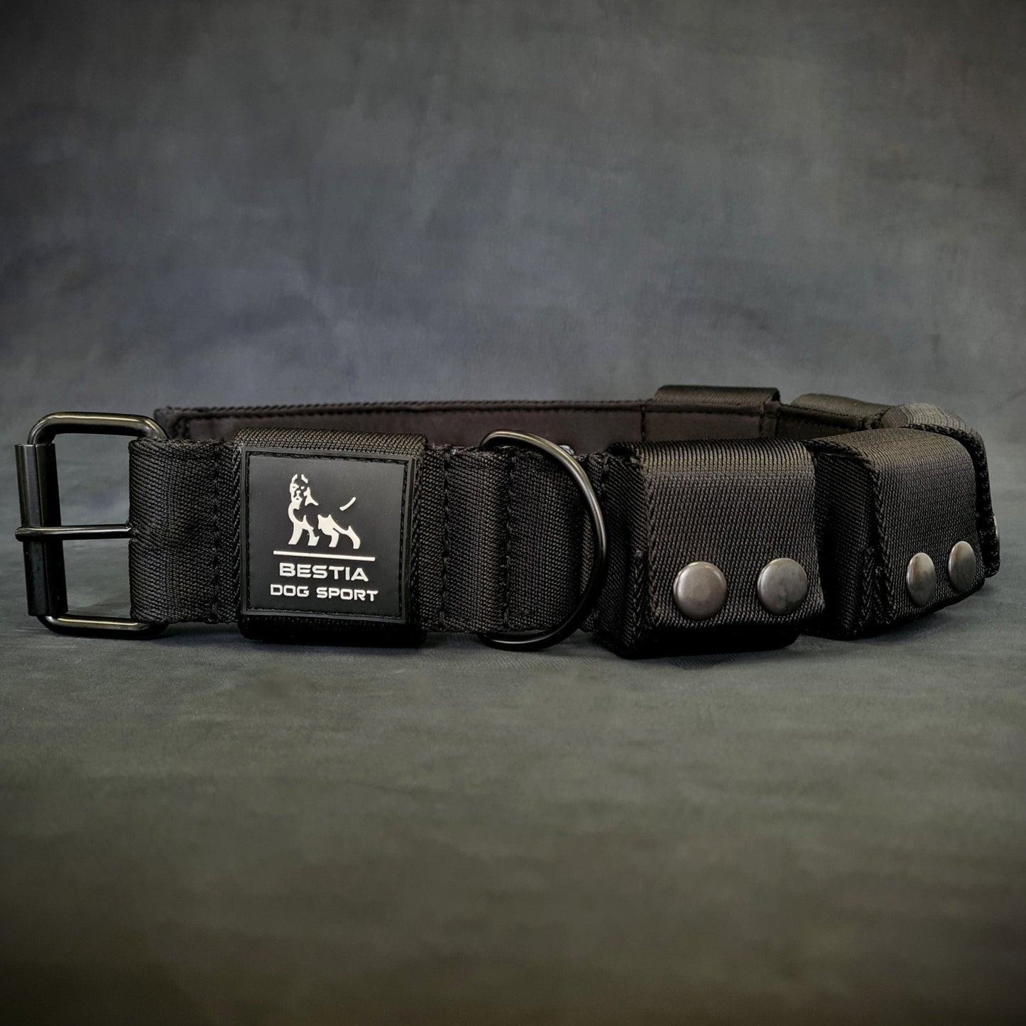 BESTIA Dog Sport Weighted Dog Training Collar – Adjustable Resistance Muscle Builder
