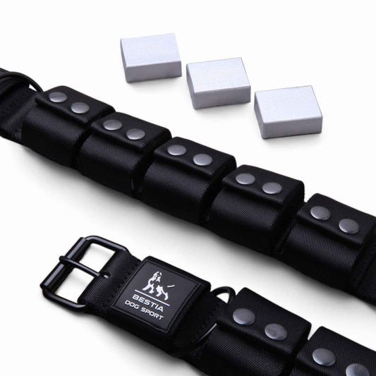BESTIA DOG SPORT Weighted Dog Training Collar