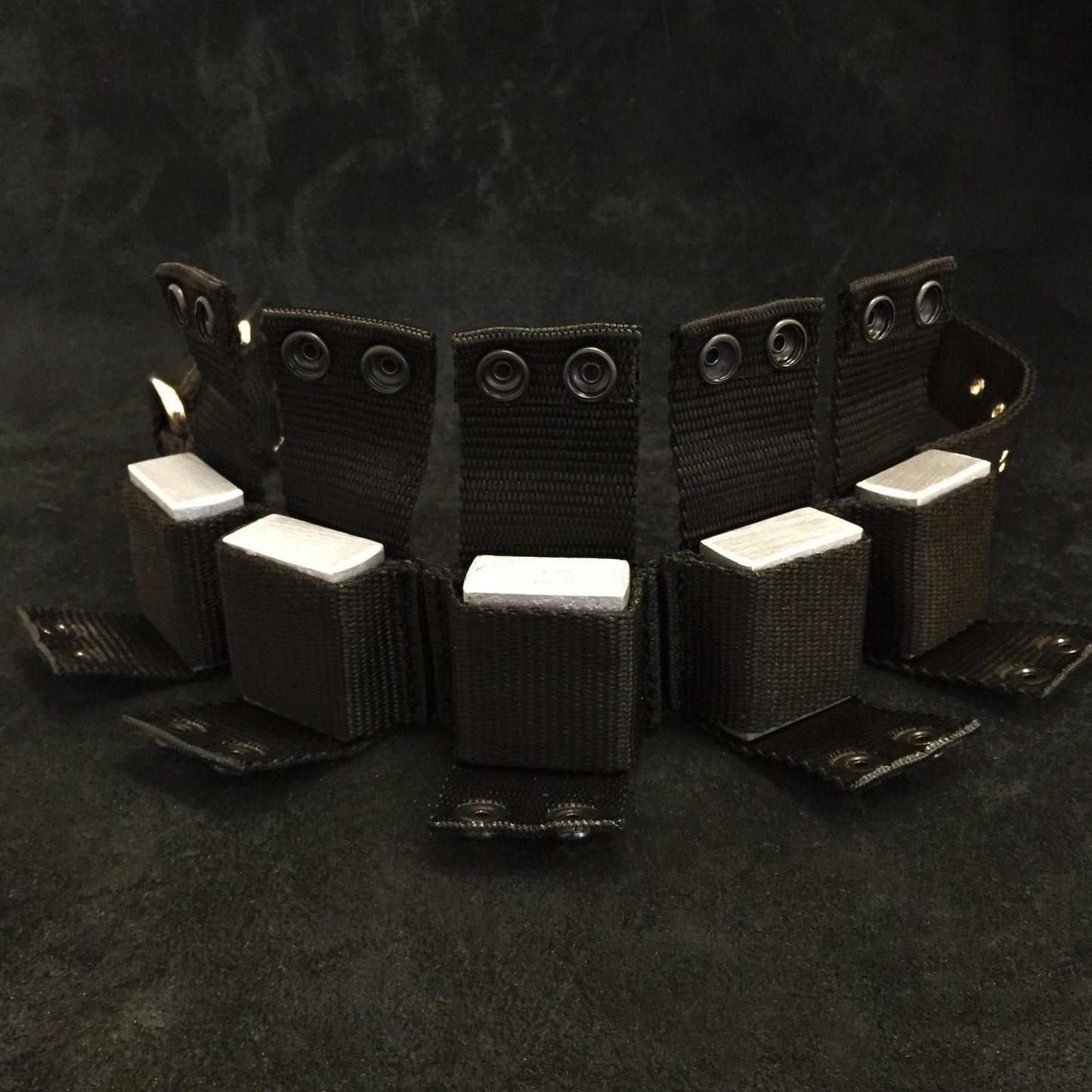 BESTIA Dog Sport Weighted Dog Training Collar – Adjustable Resistance Muscle Builder