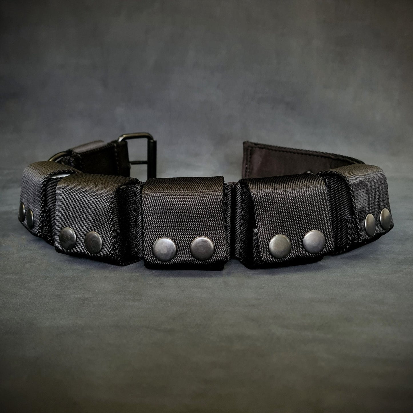 BESTIA Dog Sport Weighted Dog Training Collar – Adjustable Resistance Muscle Builder