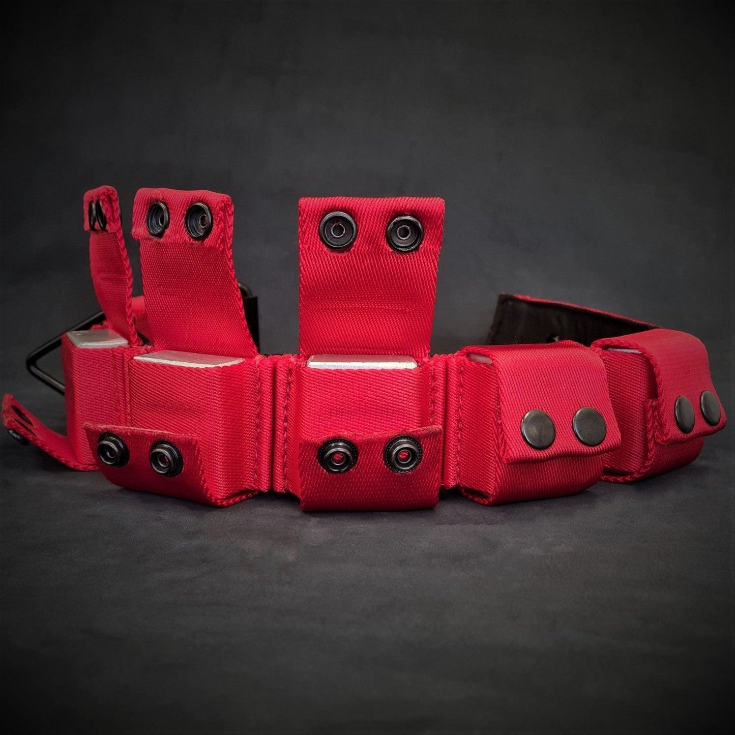 BESTIA Dog Sport Weighted Dog Training Collar – Adjustable Resistance Muscle Builder