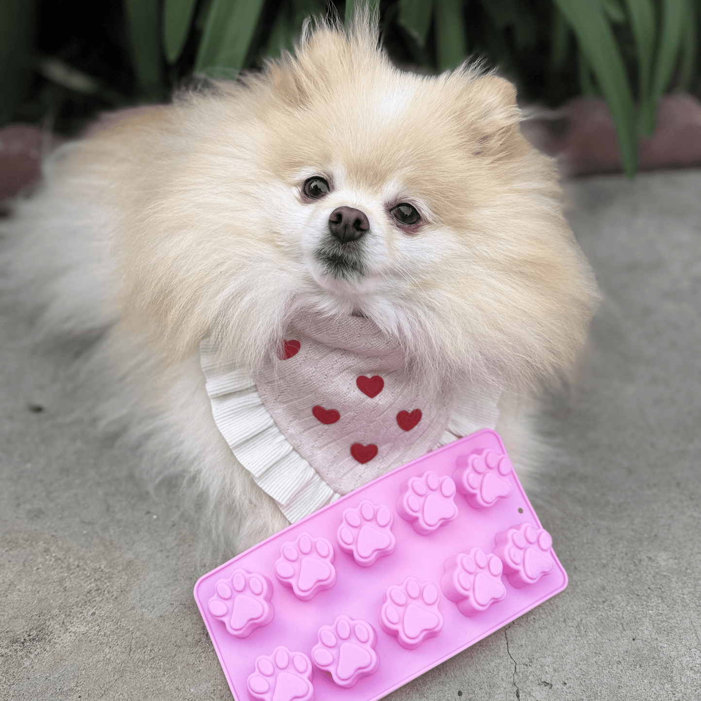 SodaPup Silicone Dog Treat Molds – DIY Jelly, Frozen & Lickable Treats | 4 Styles