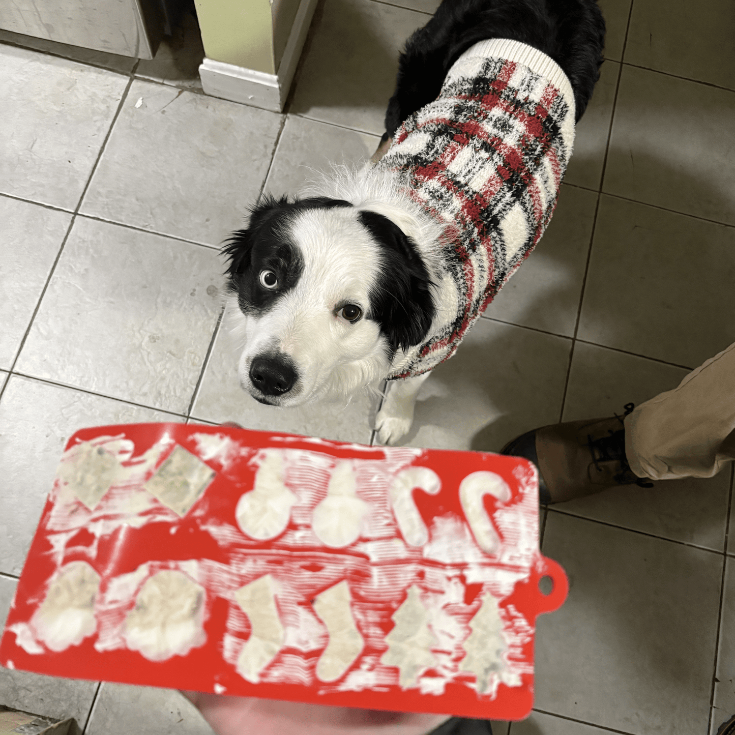 SodaPup Silicone Dog Treat Molds – DIY Jelly, Frozen & Lickable Treats | 4 Styles